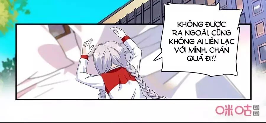 Thanh Ninh Chi Hạ: Chapter 444