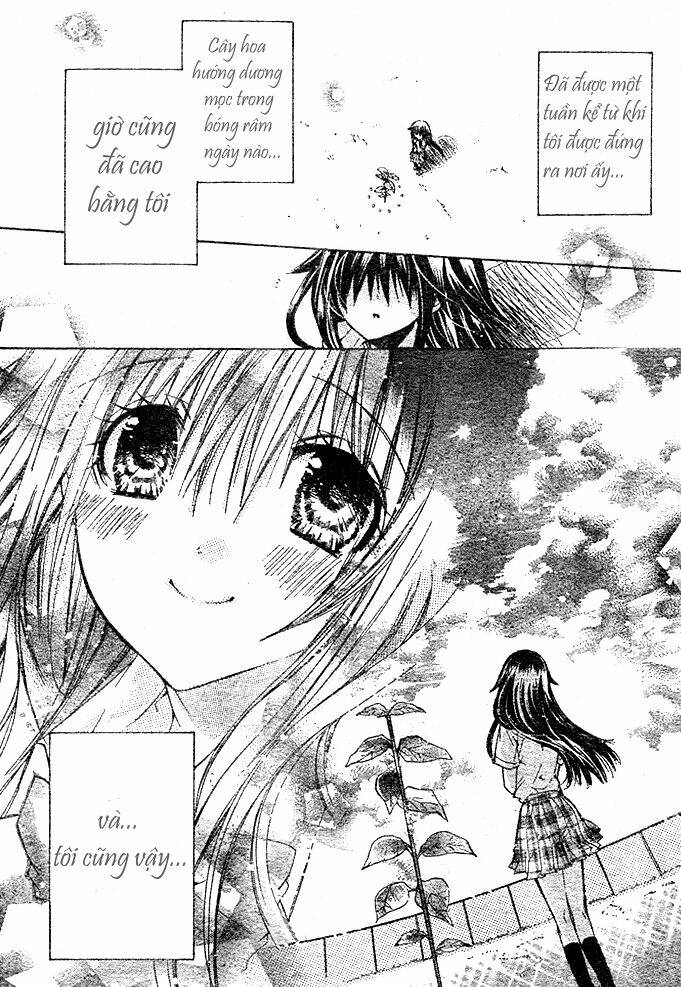 Kokoni Iru Yo: Chapter 9