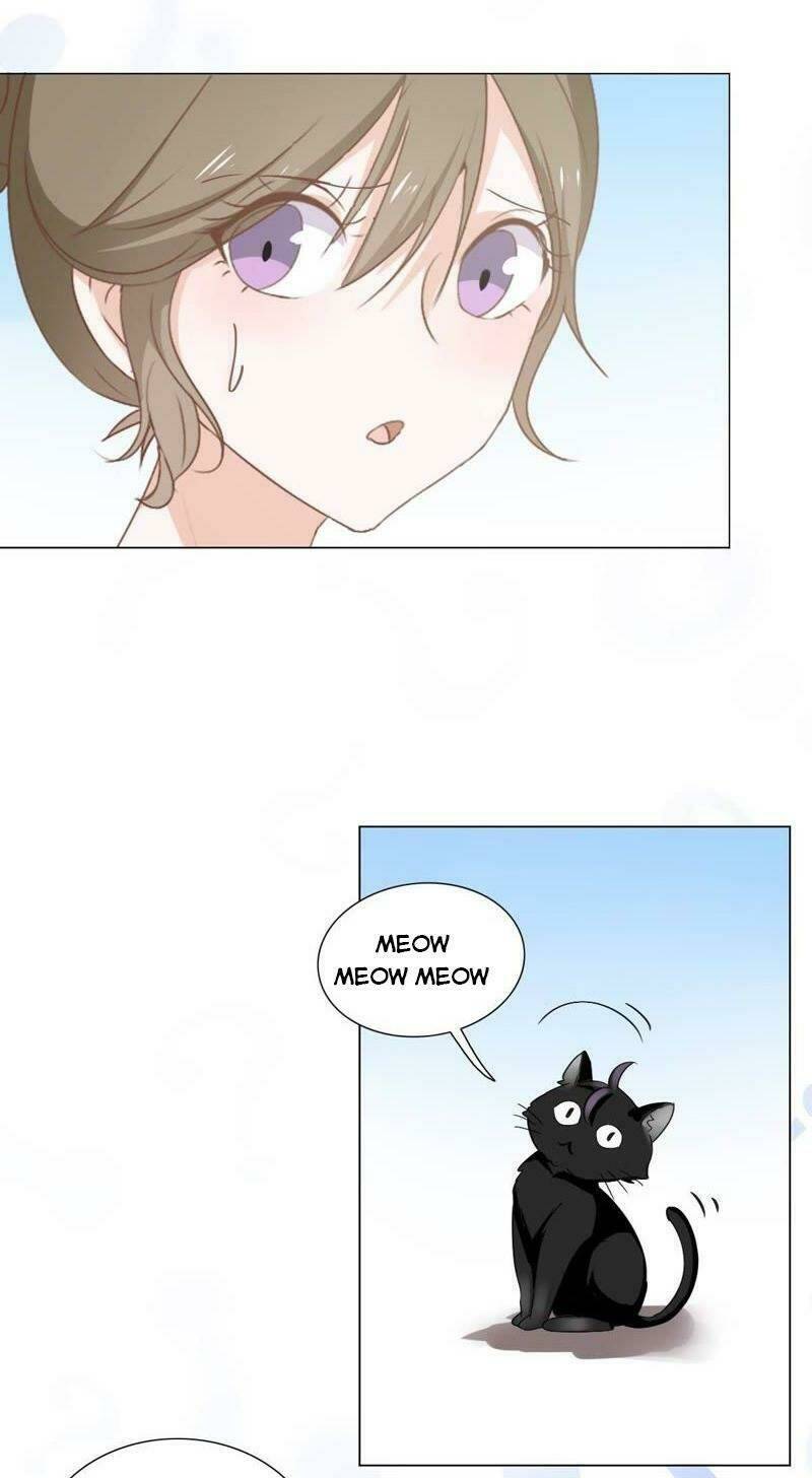 Thập Nhị Hắc Miêu: Chapter 5