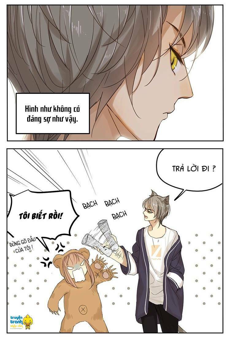 Cứu Mạng! Loài Mèo Thống Trị Thế Giới Rồi!: Chapter 12
