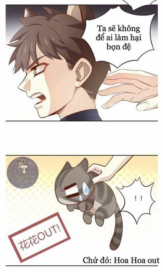 Dưới Móng Vuốt Mèo: Chapter 1