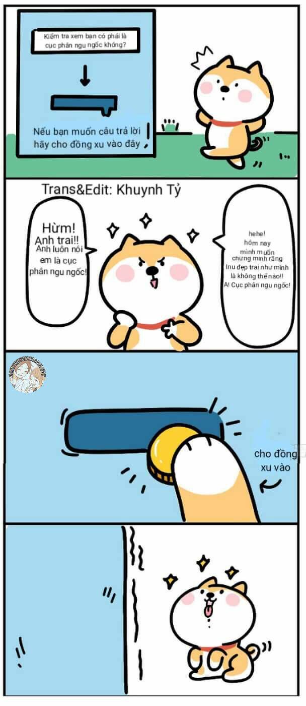 Anh Em Shiba: Chapter 4