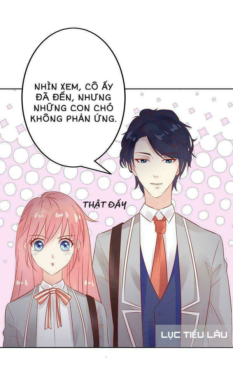 Băng Sơn Học Trưởng Không Được Chọc: Chapter 15