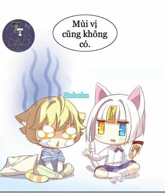 Dưới Móng Vuốt Mèo: Chapter 6
