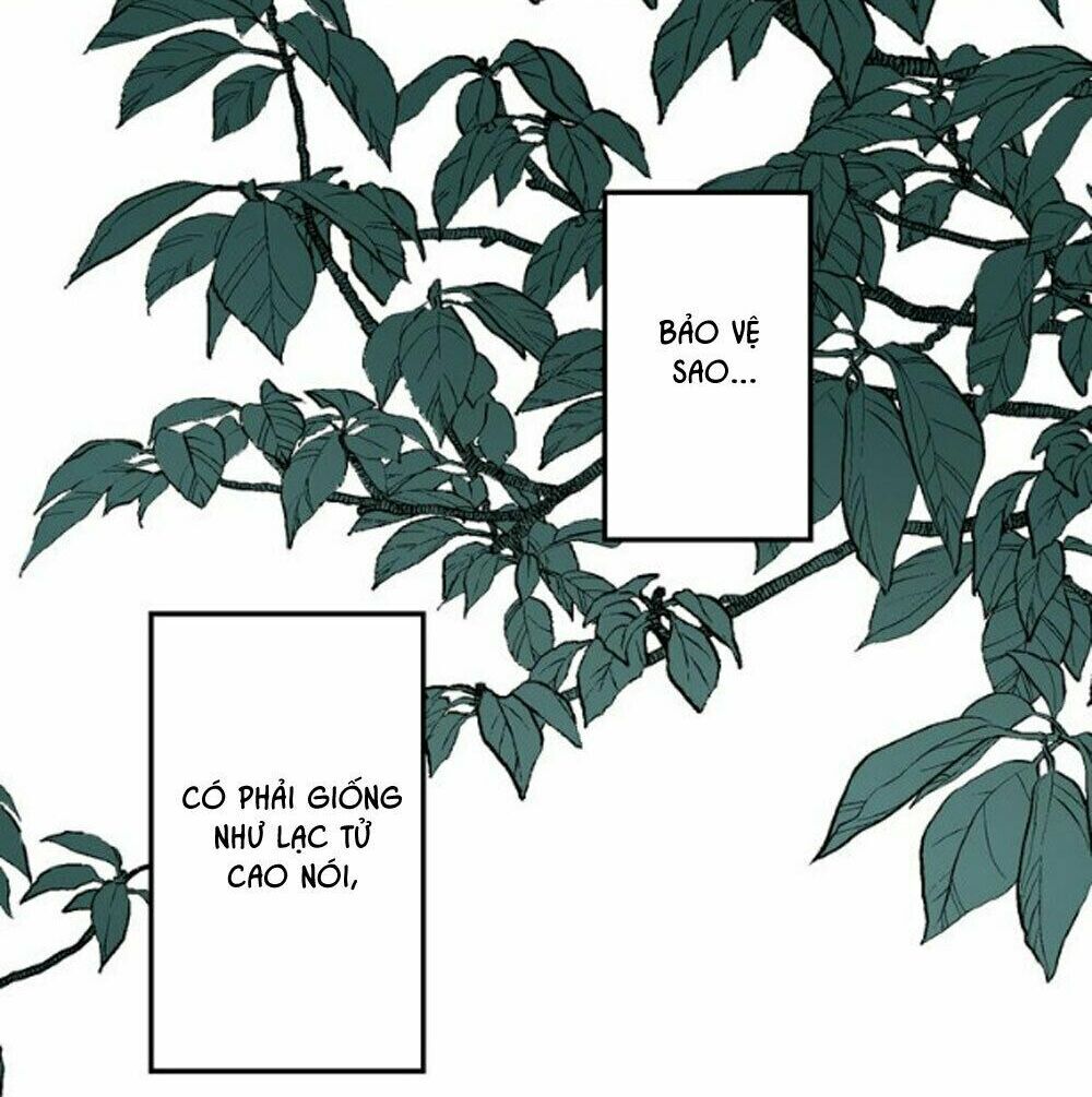 Bài Ca Tình Yêu: Chapter 4