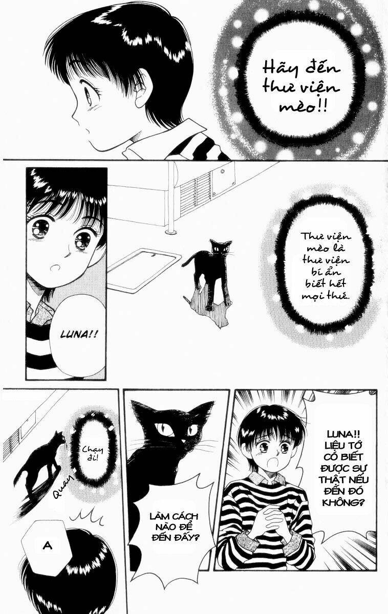 Lời Thì Thầm Từ Trái Tim: Chapter 5