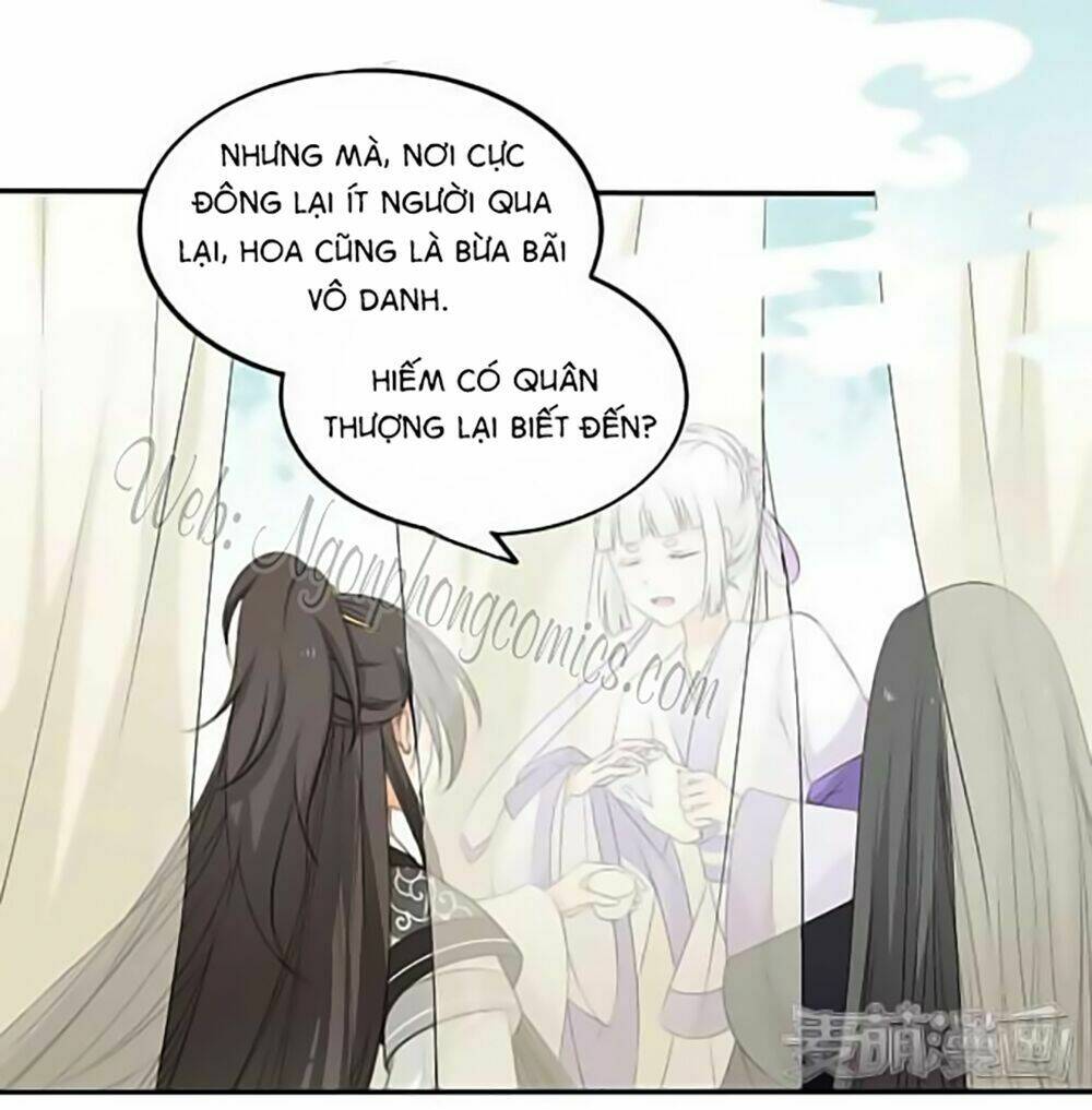 Quy Tự Dao: Chapter 15