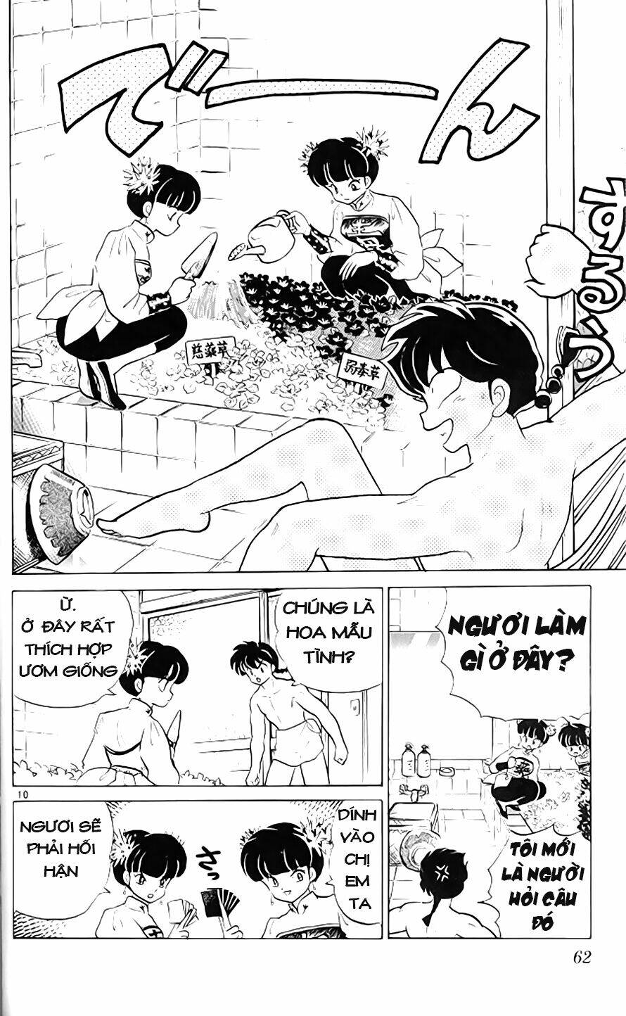 Suối Lời Nguyền: Chapter 304