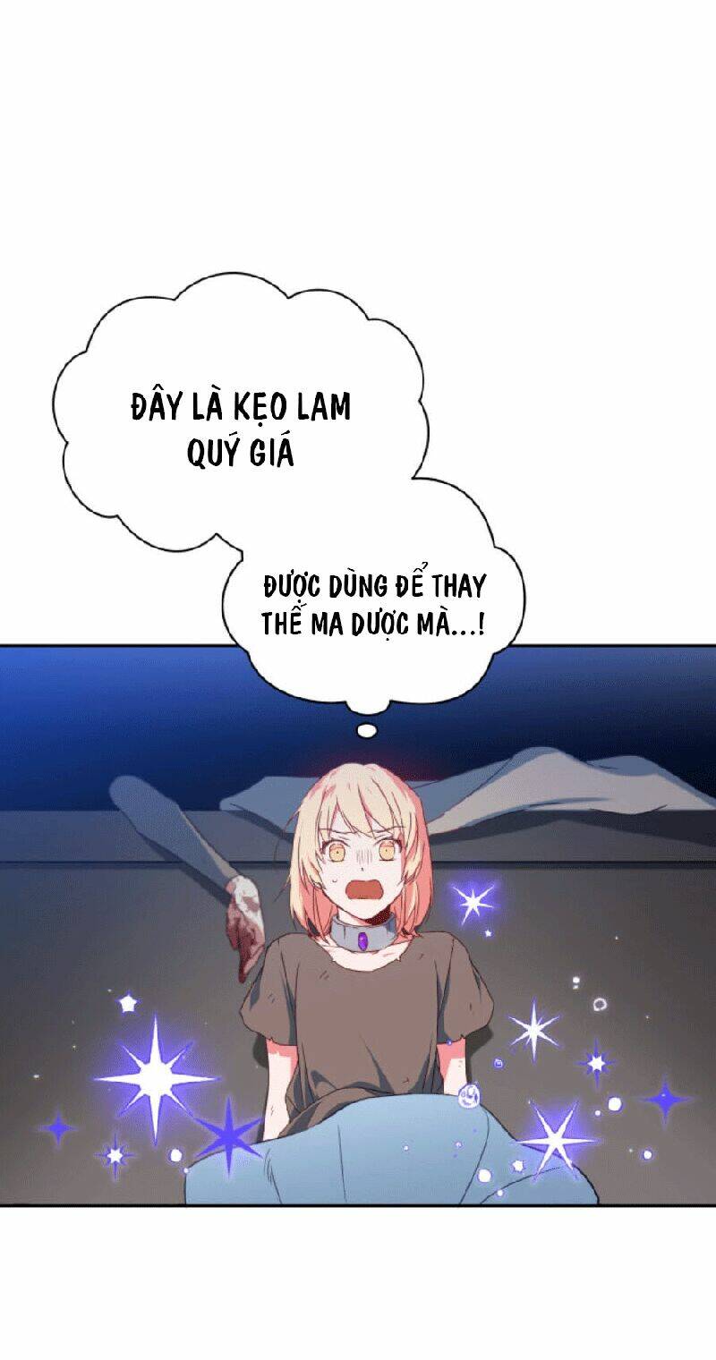 Nàng Elizabeth Thuần Khiết: Chapter 2