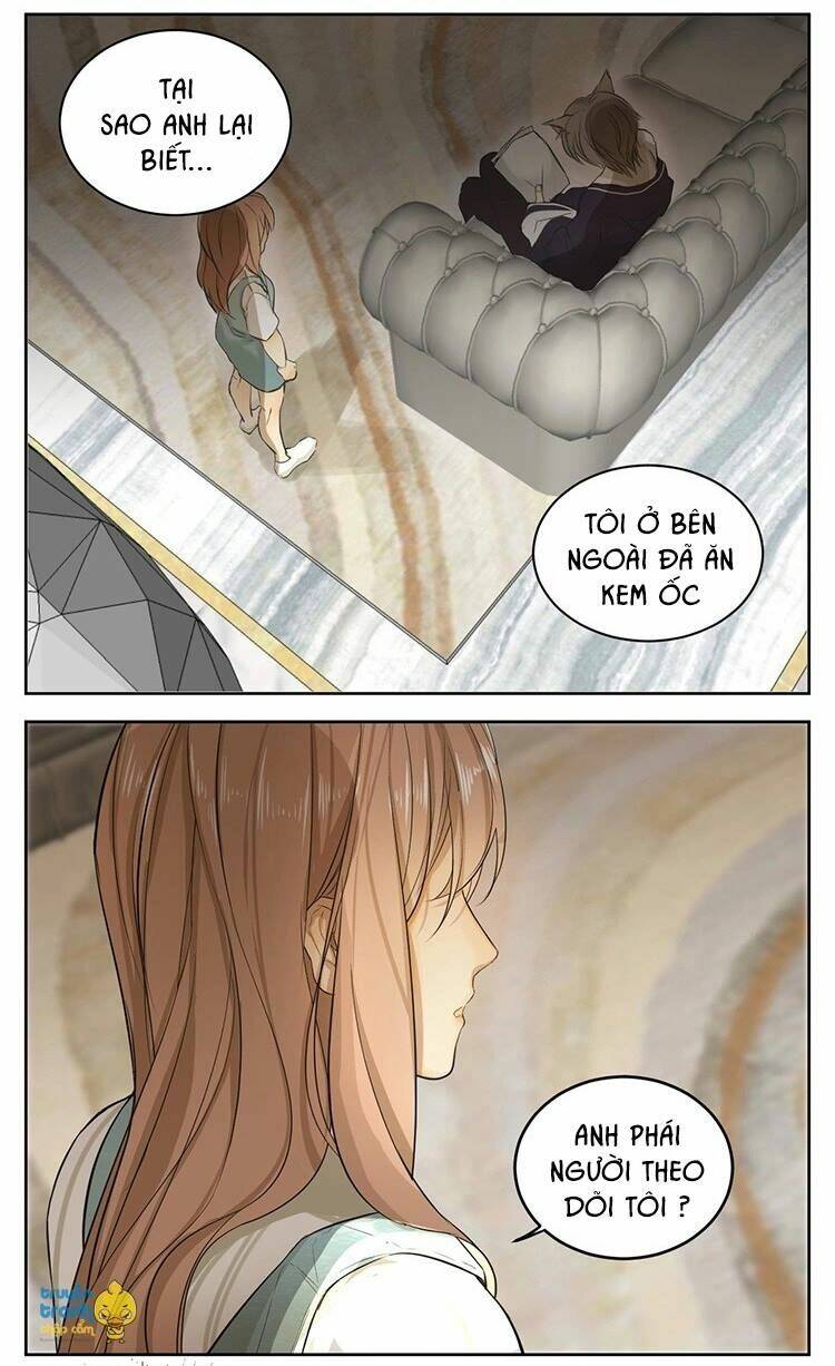 Cứu Mạng! Loài Mèo Thống Trị Thế Giới Rồi!: Chapter 13