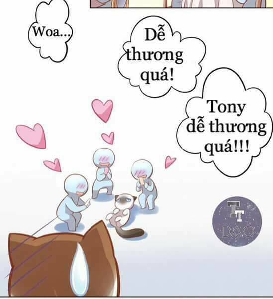 Dưới Móng Vuốt Mèo: Chapter 8