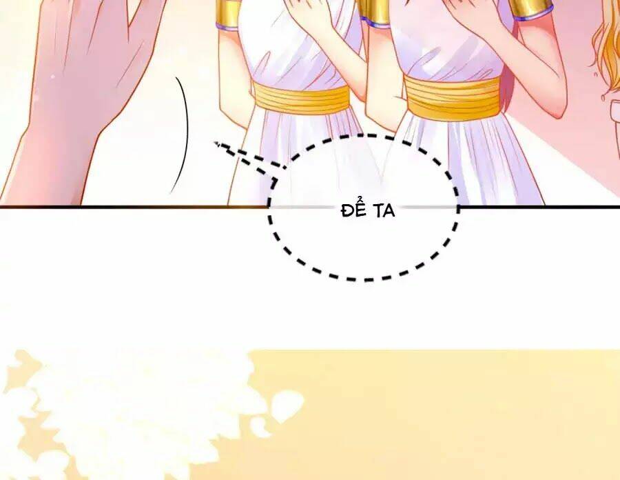 Sủng Hậu Của Vương: Chapter 13