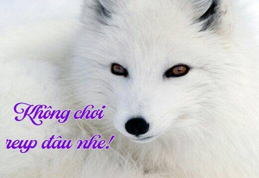 Ookami He No Yomeiri: Chapter 2