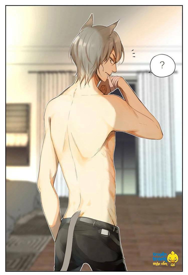 Cứu mạng ! Loài mèo thống trị thế giới rồi !: Chapter 30