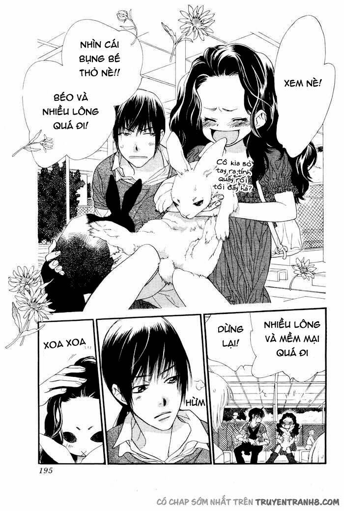 Orange Chocolate: Chapter 7