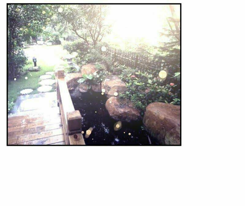 Chiến Lược Lãng Mạn Của Thịnh Thiếu: Chapter 52