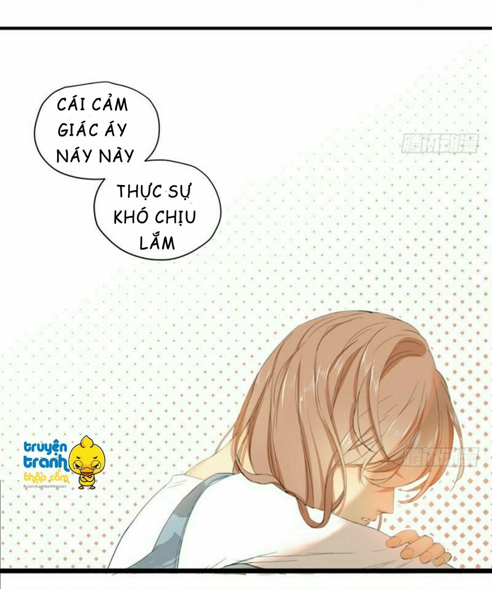 Cứu mạng ! Loài mèo thống trị thế giới rồi !: Chapter 35