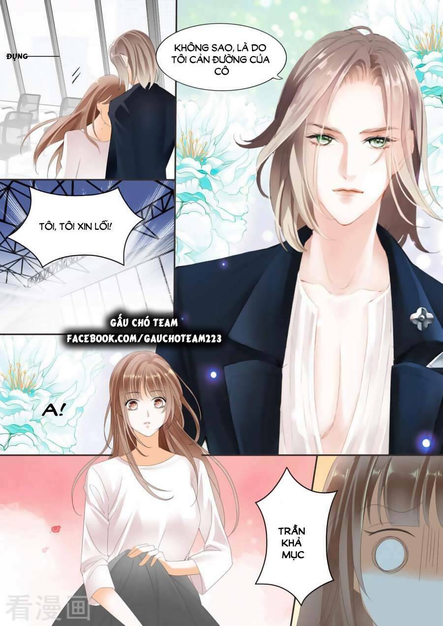 Không Thể Yêu Em: Chapter 19