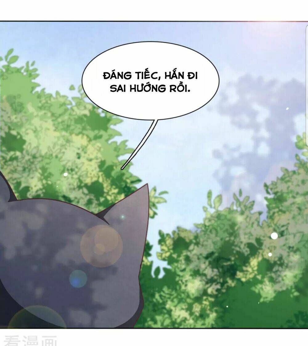 Xuyên Về Cổ Đại Làm Quốc Bảo: Chapter 32