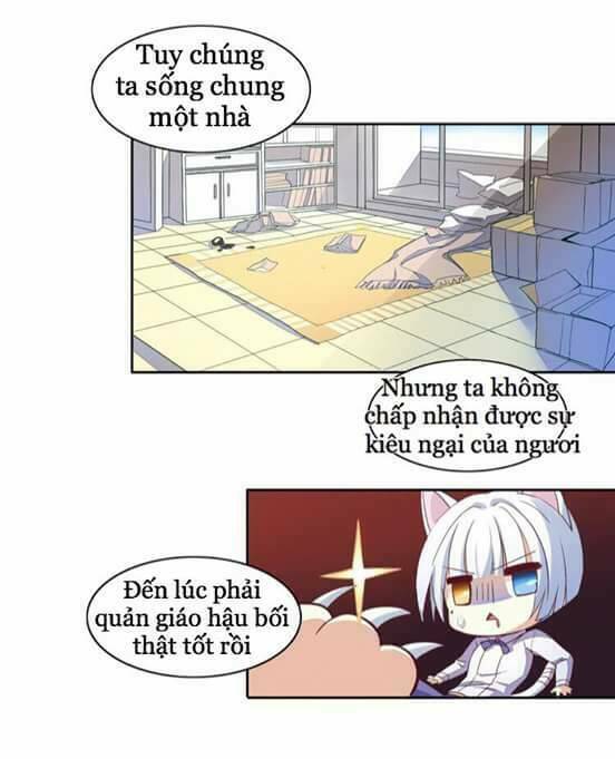 Dưới Móng Vuốt Mèo: Chapter 1