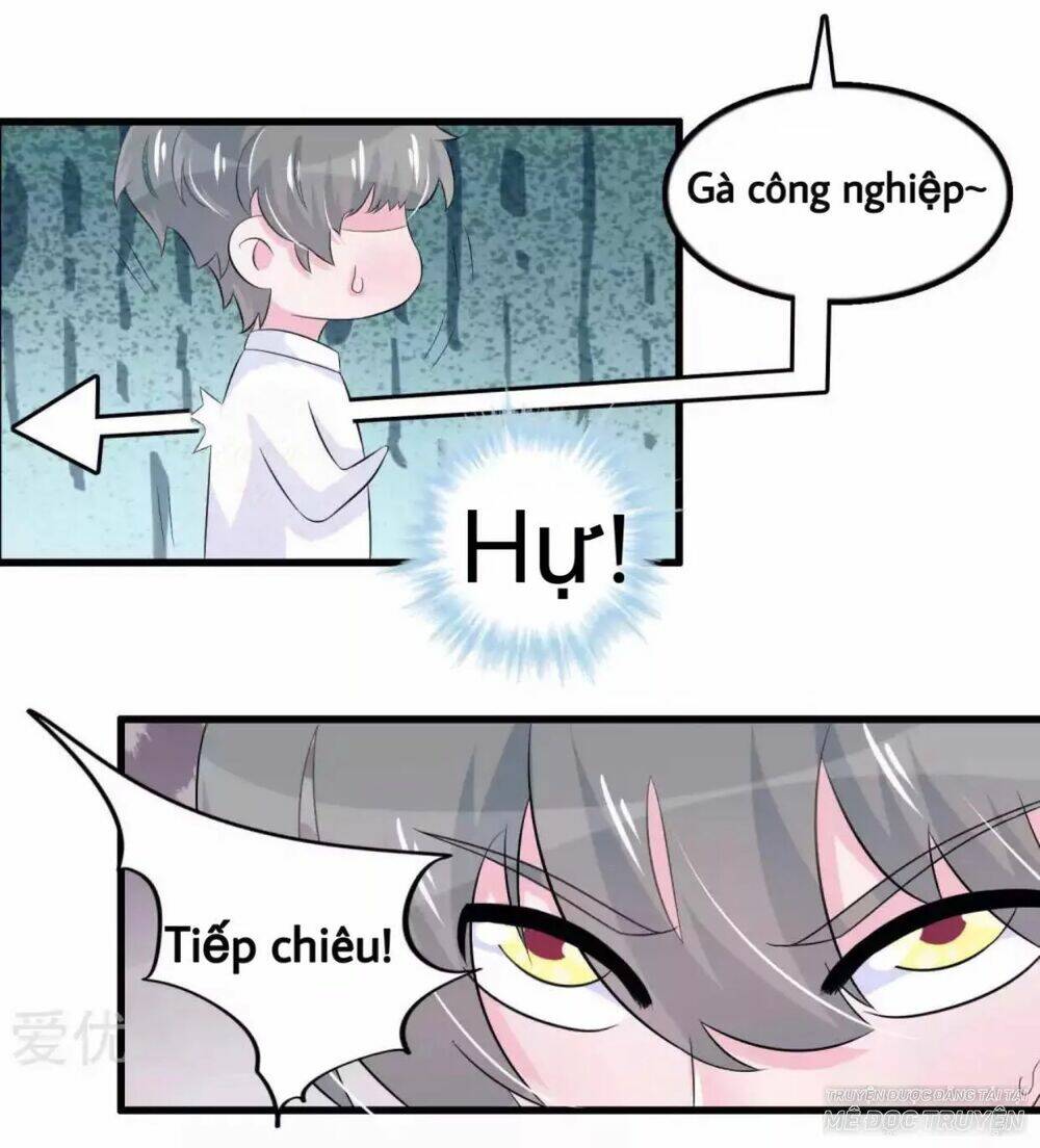 Tôi Vốn Dĩ Bị Bệnh Kiều: Chapter 52