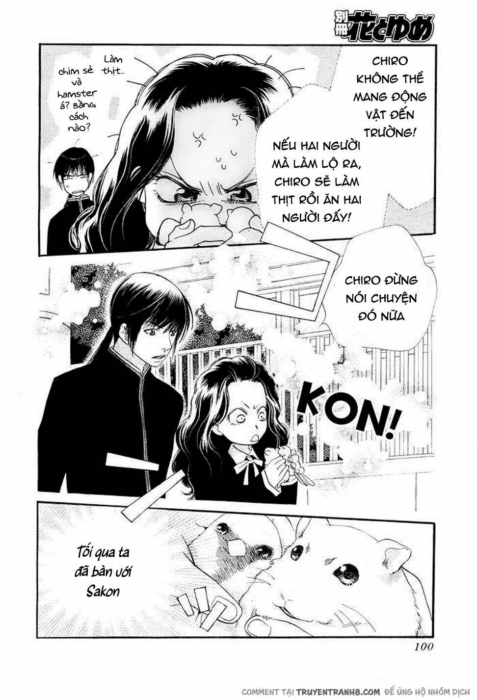 Orange Chocolate: Chapter 8