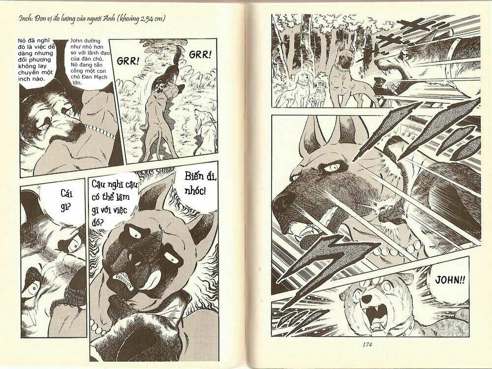 Chú Chó Có Nghĩa - Ginga Nagareboshi Gin: Chapter 10