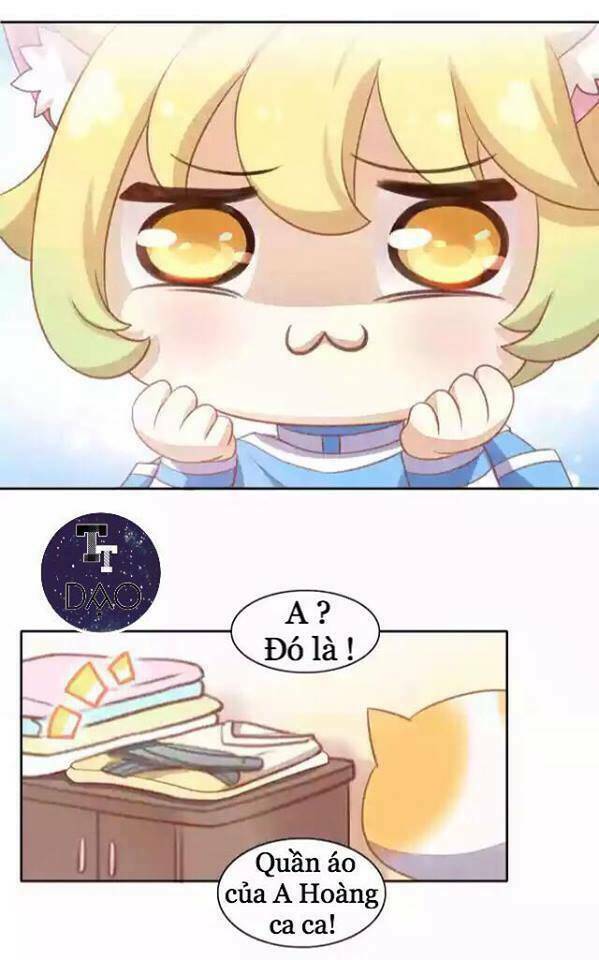 Dưới Móng Vuốt Mèo: Chapter 11