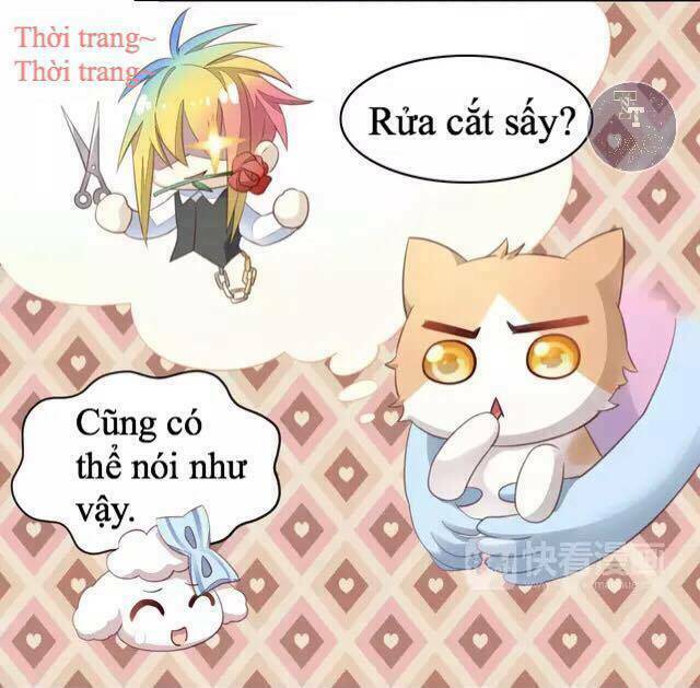 Dưới Móng Vuốt Mèo: Chapter 17