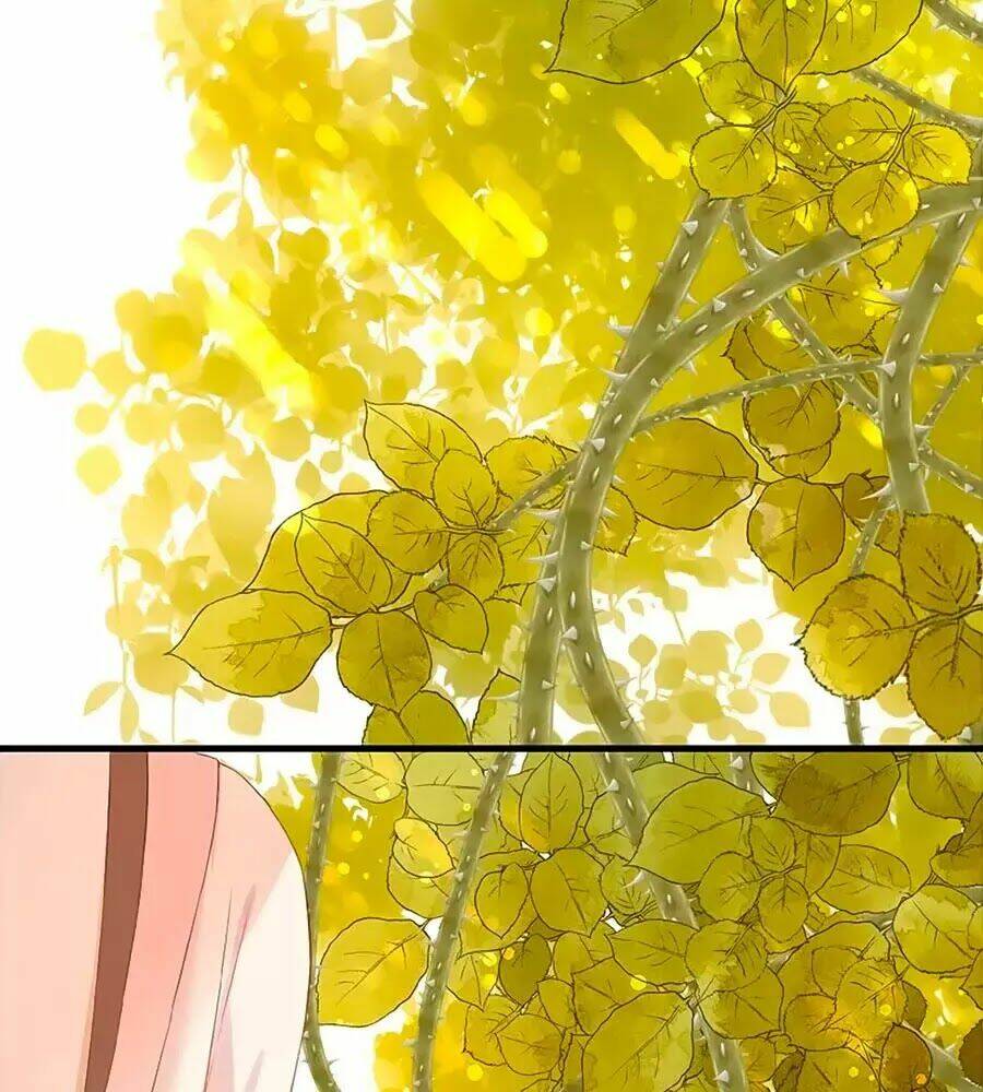 Đóa Hoa Chớm Nở: Chapter 20