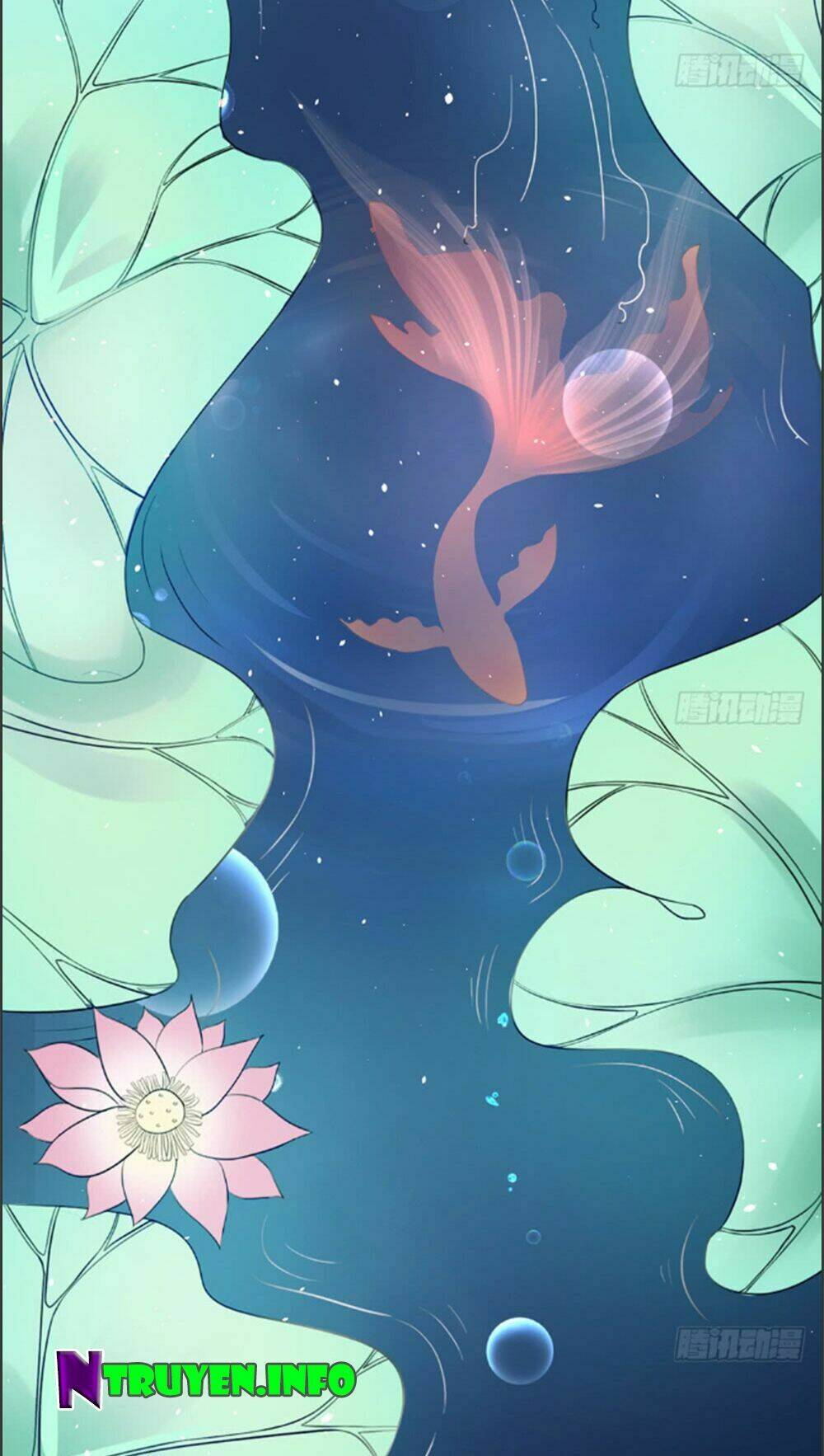 Cẩm Lý Thiếu Nữ Của Tôi: Chapter 2.3