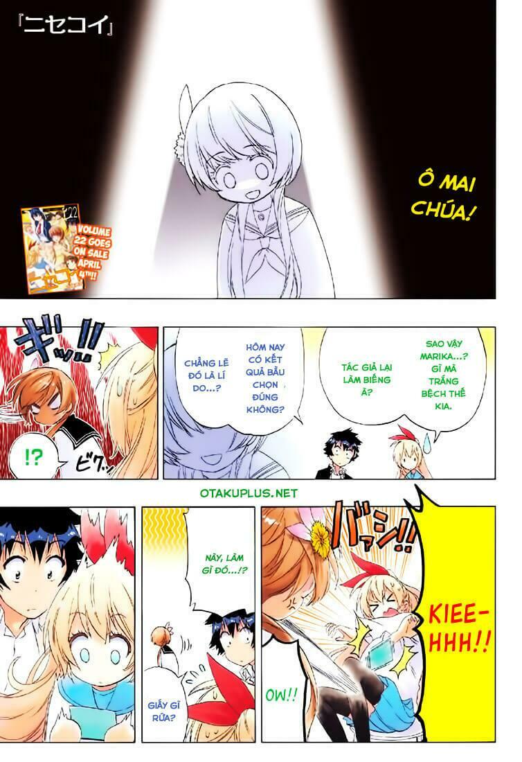 Tình Yêu Ngang Trái: Chapter 211