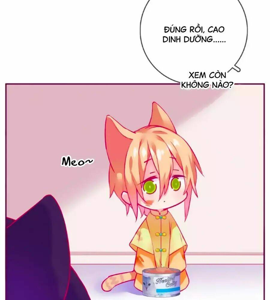 Đừng Nghịch, Ta Chỉ Muốn Yên Tĩnh: Chapter 61