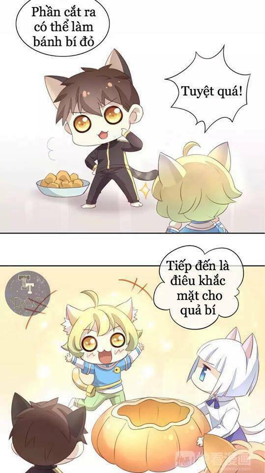Dưới Móng Vuốt Mèo: Chapter 18