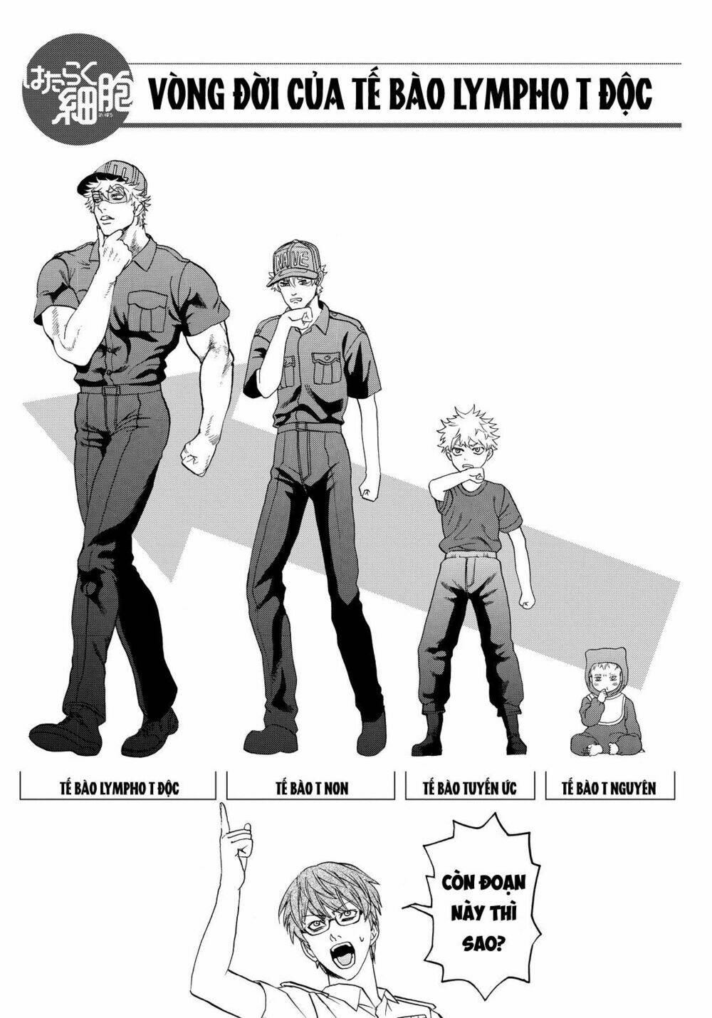 Hataraku Saibou!: Chapter 12