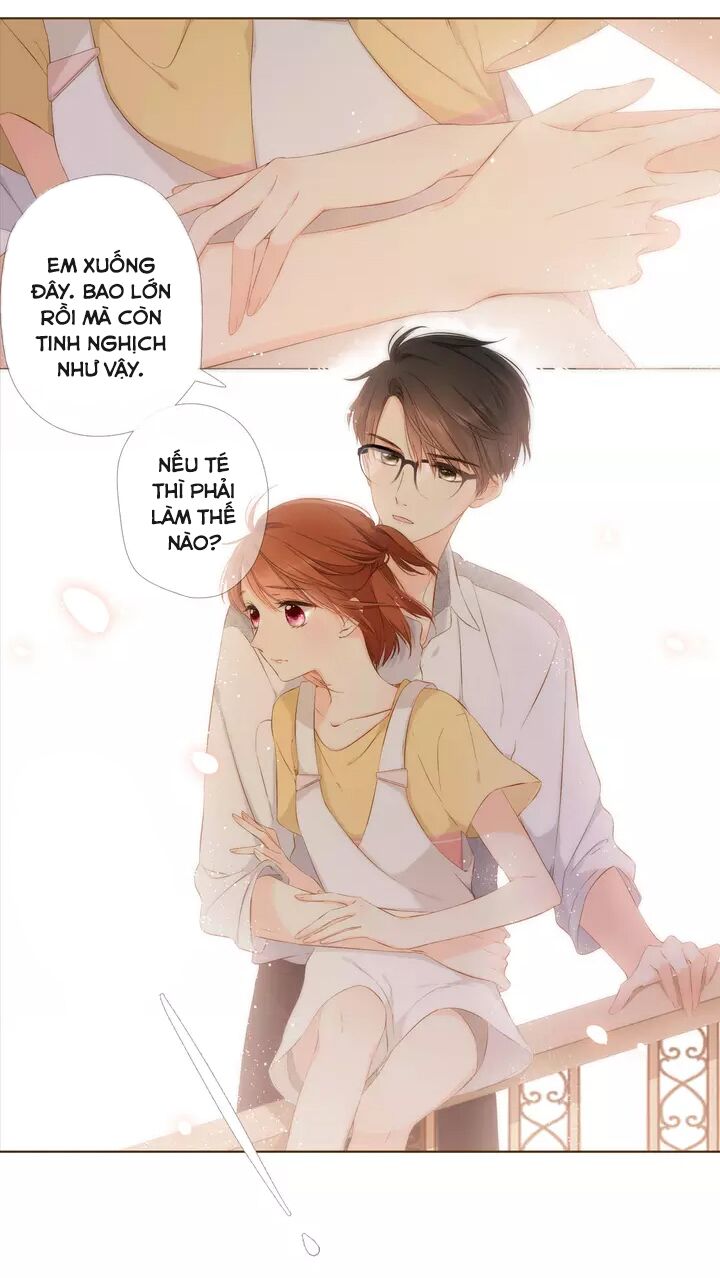 Tình yêu là màu hoa anh thảo: Chapter 35.3