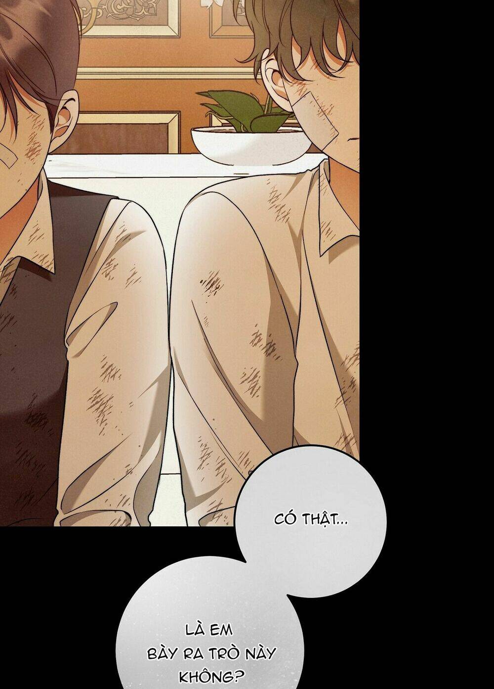 Lời Nói Dối Vĩnh Cửu: Chapter 29