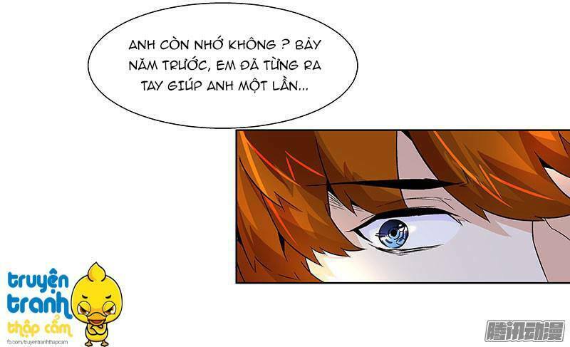 Cường Sủng Hào Môn Tiểu Manh Thê: Chapter 13