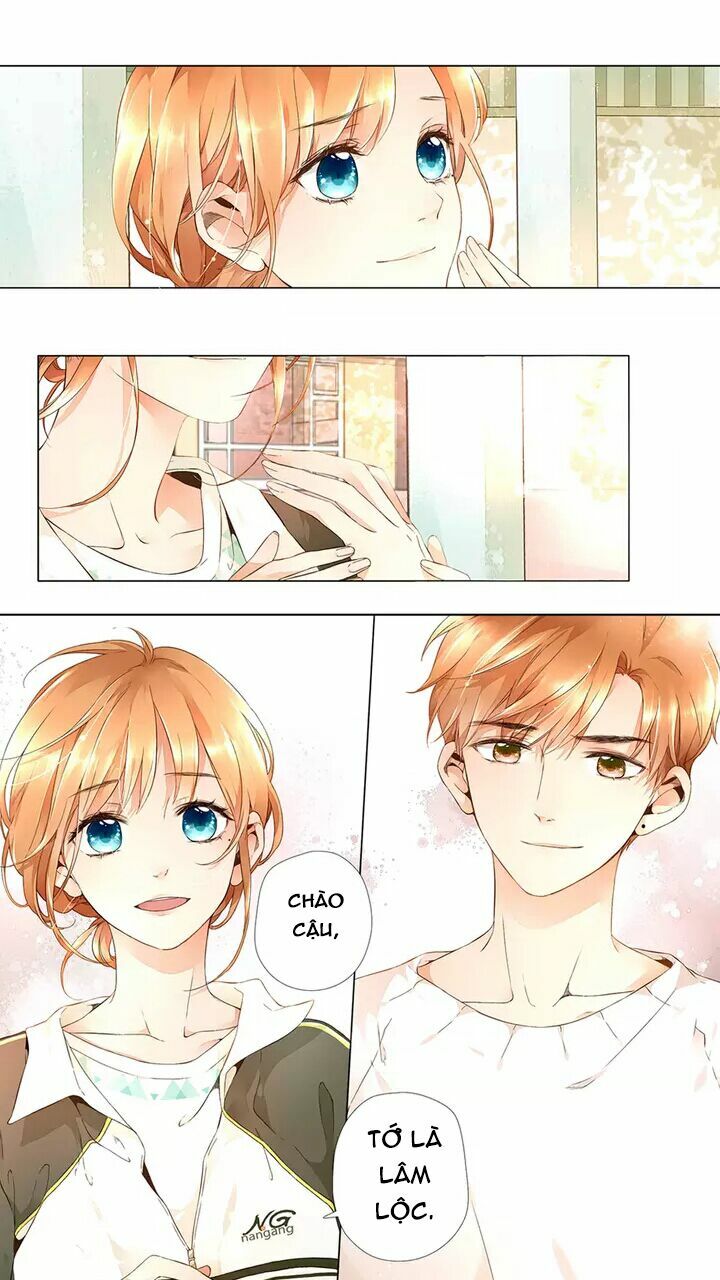 Tình yêu là màu hoa anh thảo: Chapter 16.3