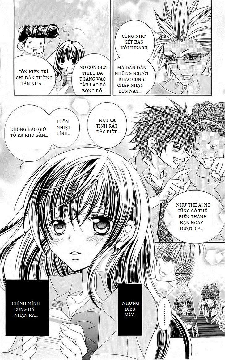 Mình Thích Cậu Đó, Suzuki: Chapter 41