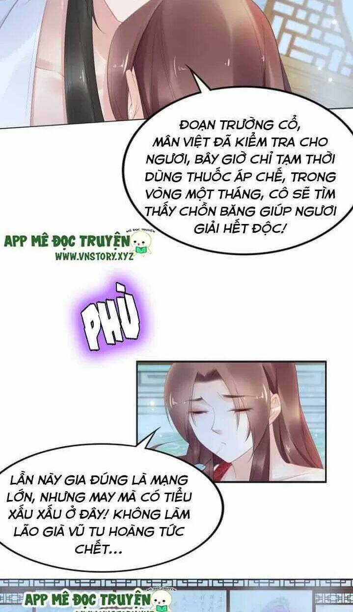 Nhất Sinh Nhất Thế Tiếu Thương Khung: Chapter 75