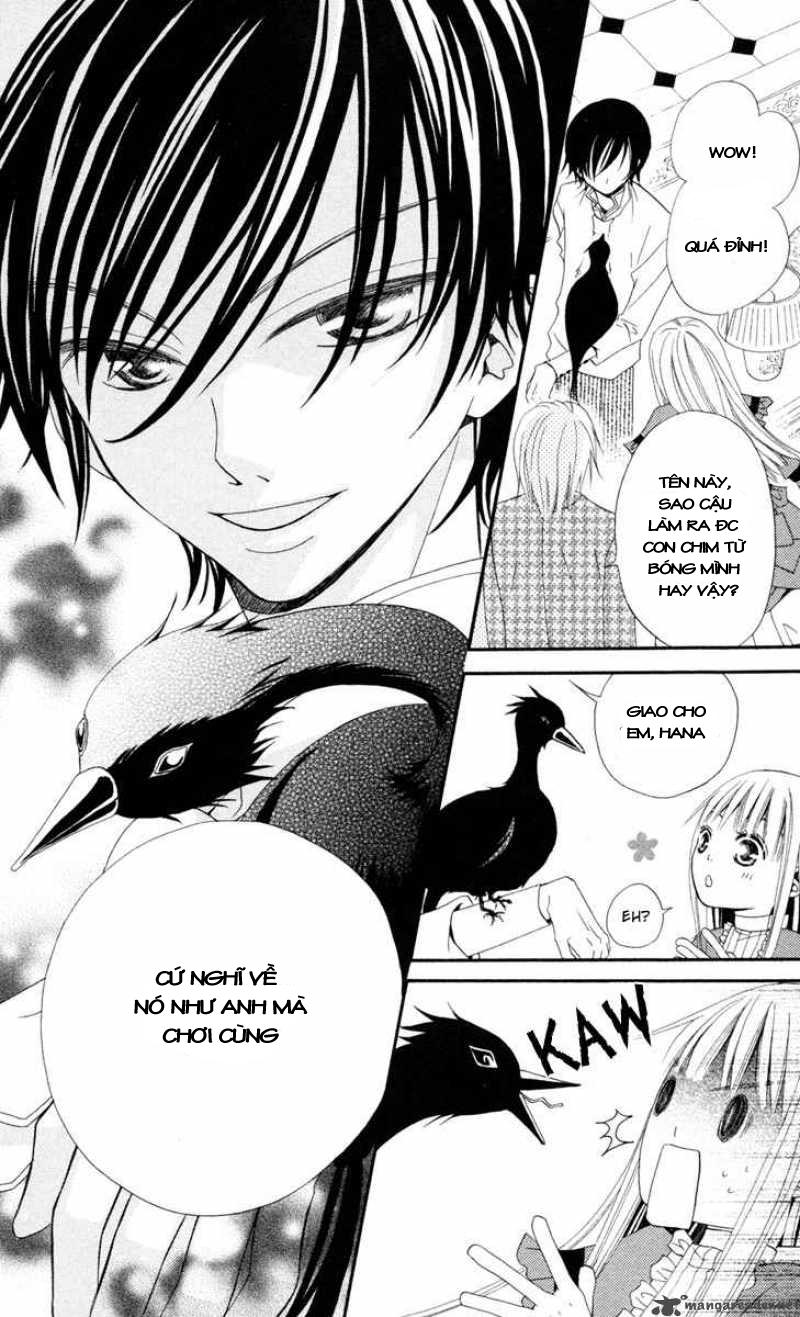 Hoa Và Ác Ma: Chapter 3