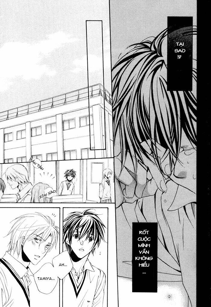Chuyện Tình Của Toono Và Tamiya: Chapter 4