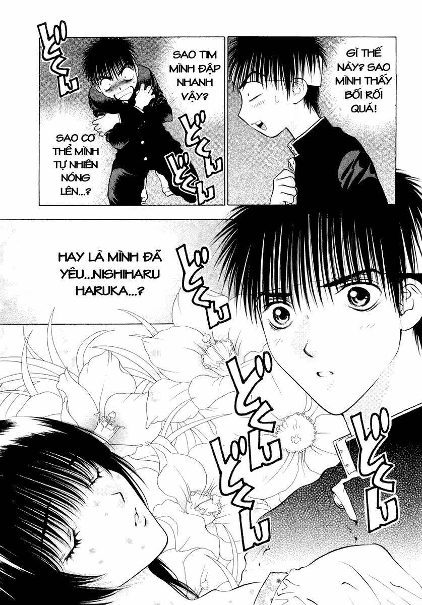 Girls Saurus Dx: Chapter 19