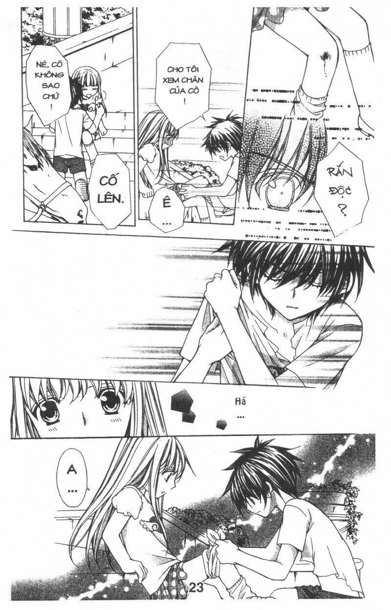 Trái Tim Kim Cương: Chapter 1