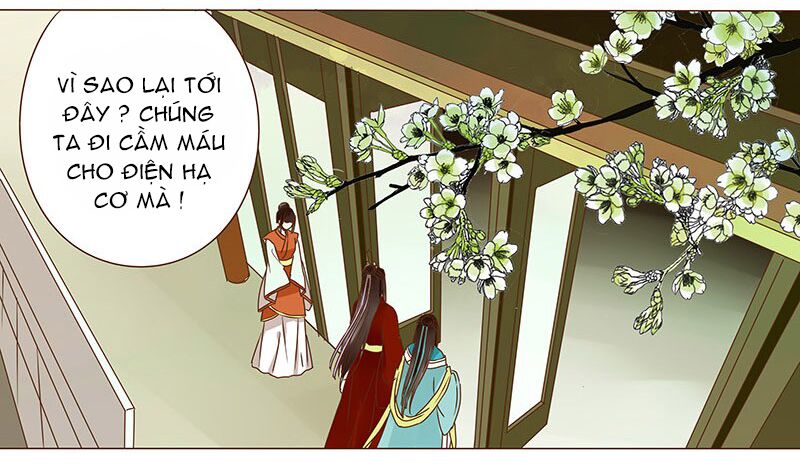 Đế Vương Trắc: Chapter 38