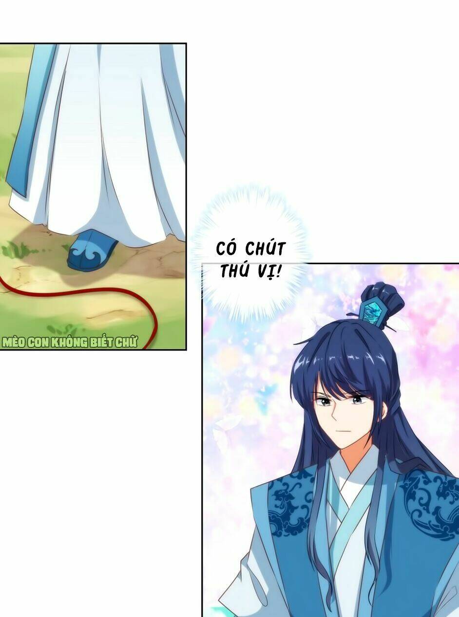 Ồ, Sủng Phi Đại Nhân Của Ta: Chapter 16