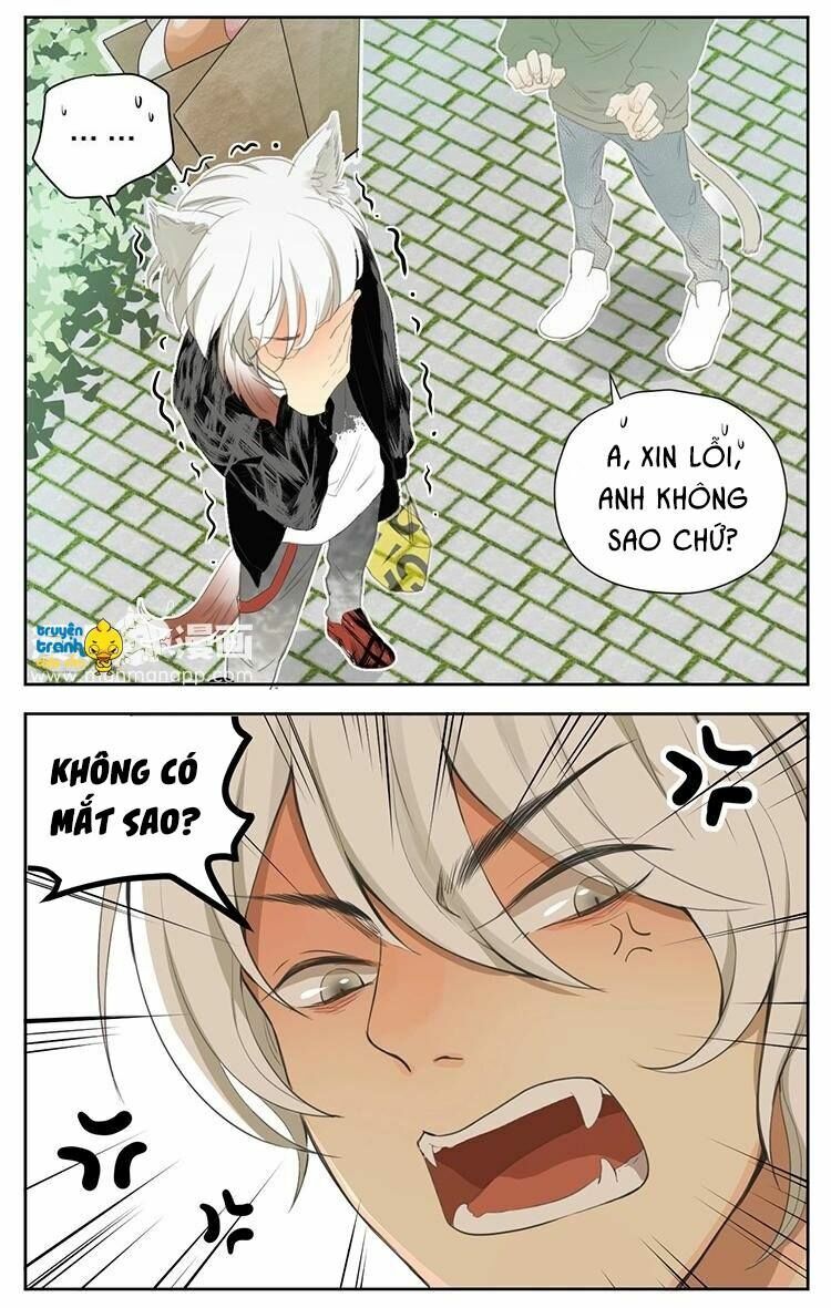 Cứu mạng ! Loài mèo thống trị thế giới rồi !: Chapter 27