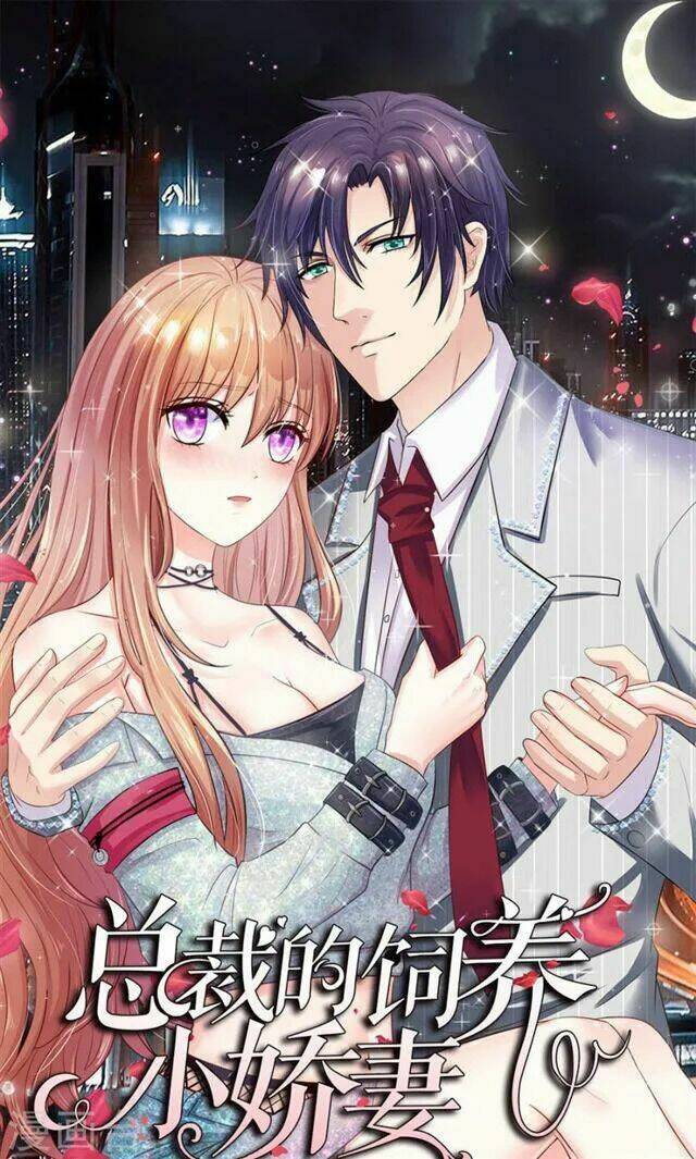 Hành Trình Thuần Hóa Vợ Nhỏ Của Tổng Tài: Chapter 6