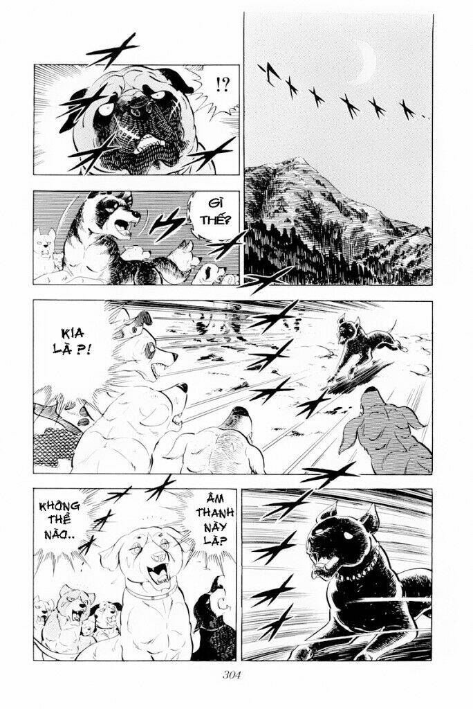 Chú Chó Có Nghĩa - Ginga Nagareboshi Gin: Chapter 30.2